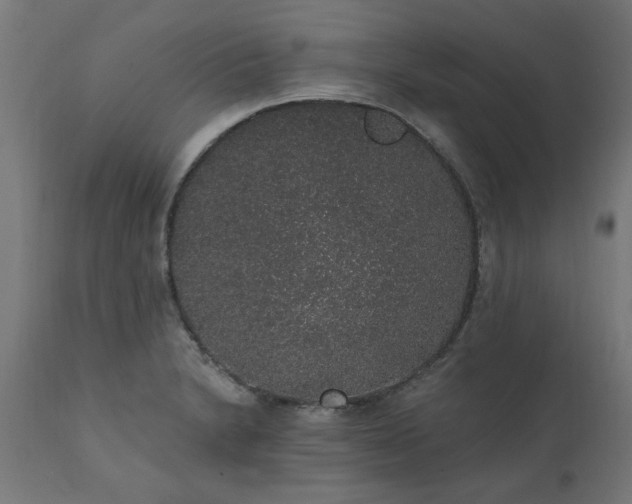 X0000111831230200907301312