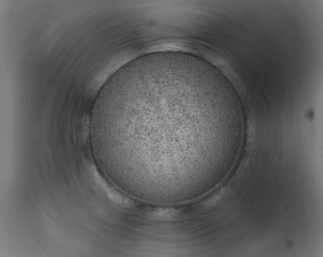 X0000111831233200907301312