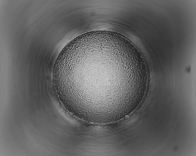 X0000111831234200907301312