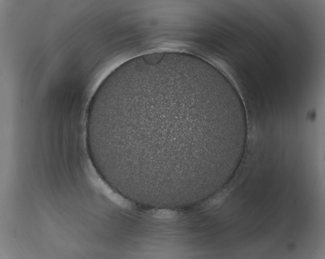 X0000111831235200907301312