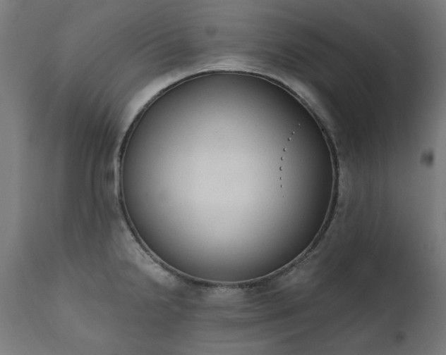 X0000111831238200907301312