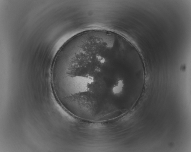 X0000111831239200907301312