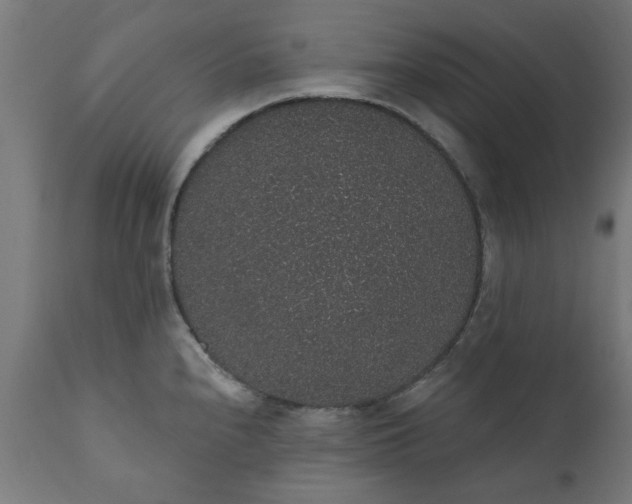 X0000111831240200907301312