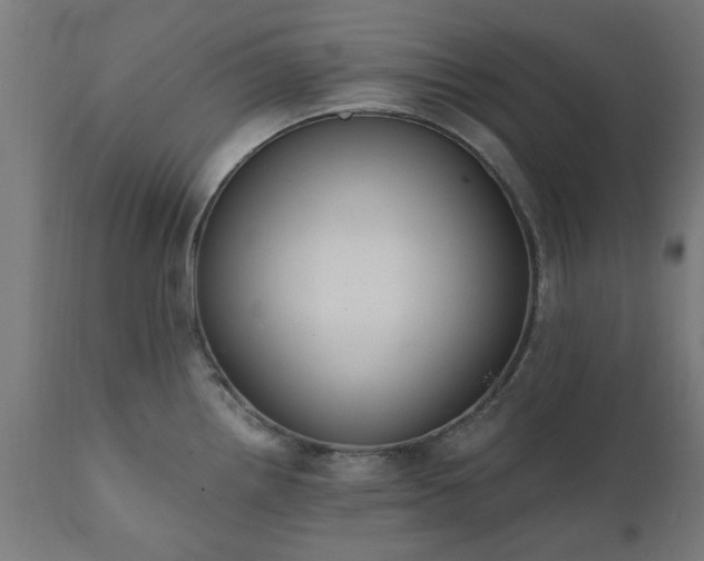 X0000111831242200907301312