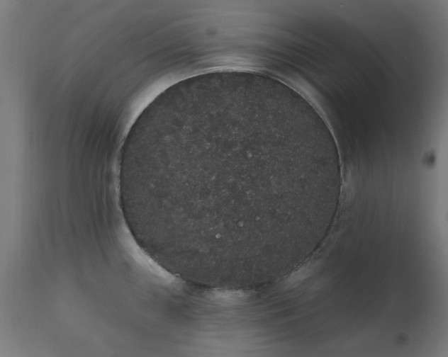 X0000111831243200907301312