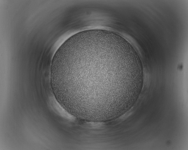 X0000111831244200907301312