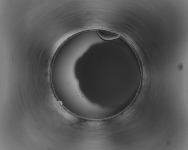 X0000111831246200907301312