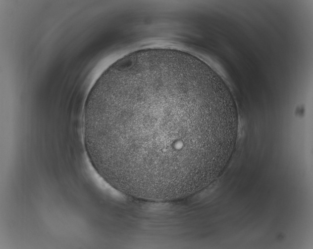 X0000111831247200907301312