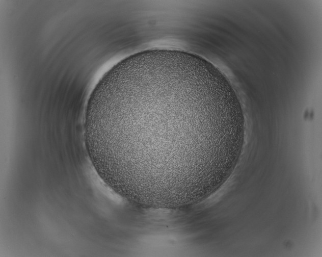 X0000111831248200907301312
