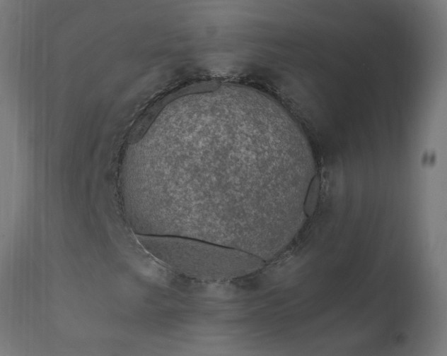 X0000111831249200907301312