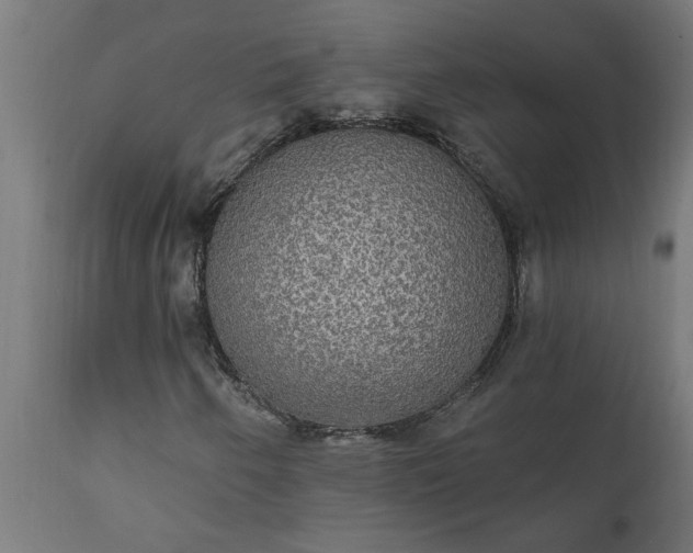 X0000111831250200907301311