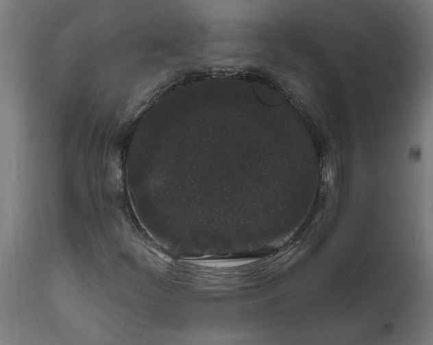 X0000111831252200907301311