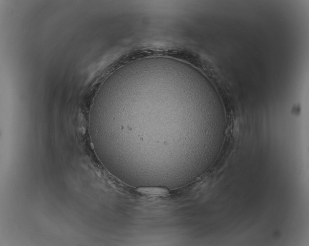 X0000111831253200907301311