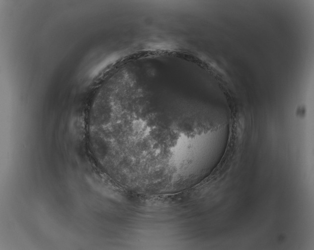 X0000111831254200907301311