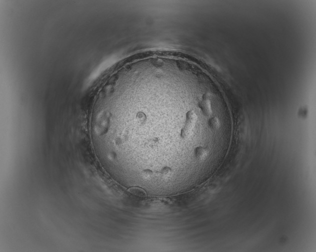 X0000111831255200907301311