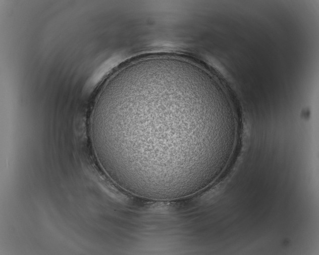 X0000111831259200907301311