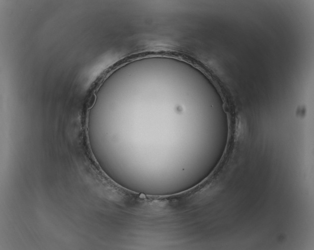 X0000111831261200907301311