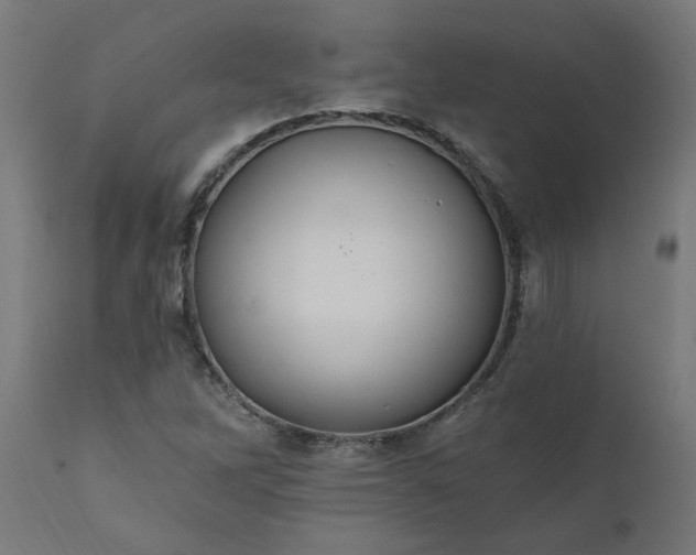 X0000111831262200907301311