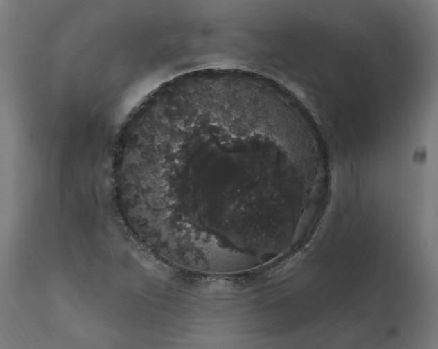 X0000111831263200907301311