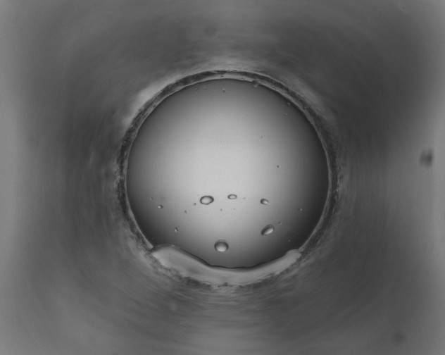 X0000111831264200907301311
