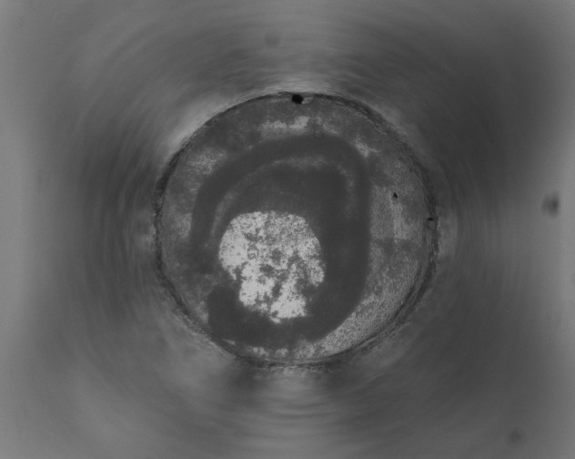 X0000111831266200907301311