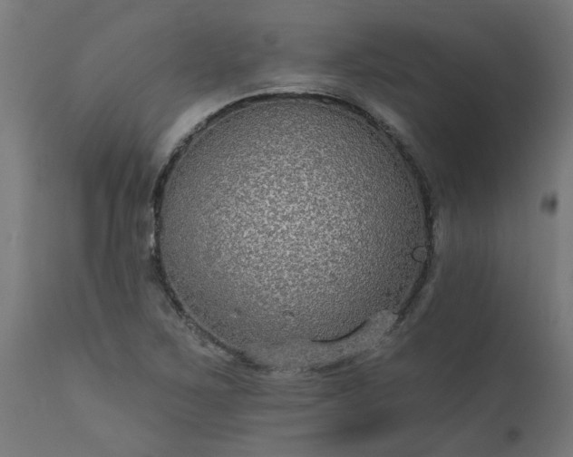 X0000111831267200907301311