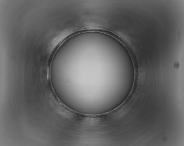 X0000111831269200907301311