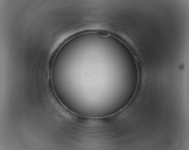 X0000111831270200907301311