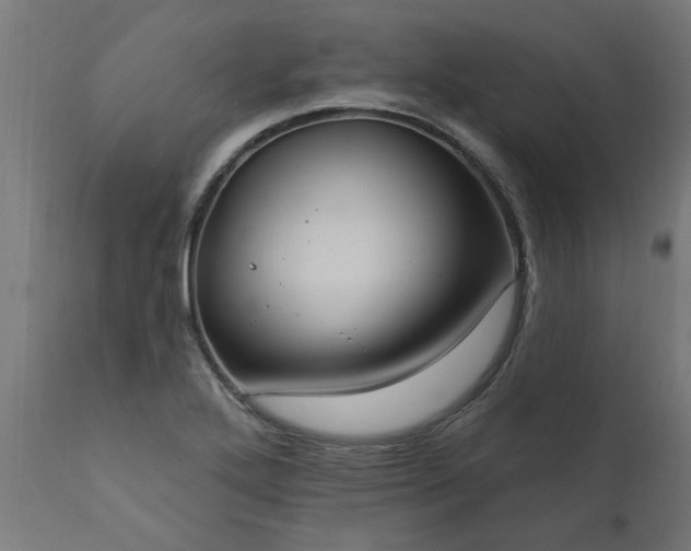 X0000111831272200907301311