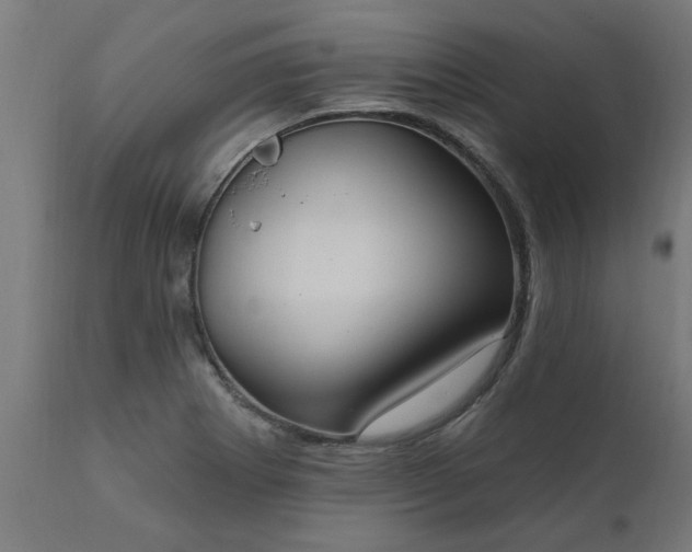 X0000111831273200907301311