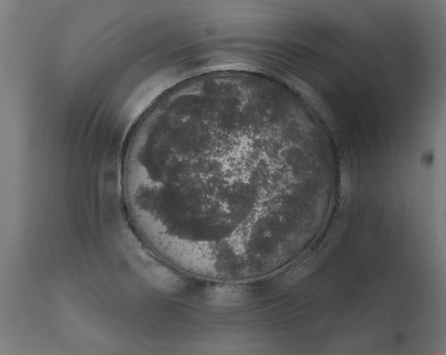 X0000111831274200907301311