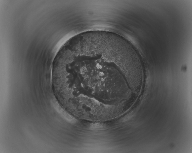 X0000111831275200907301311
