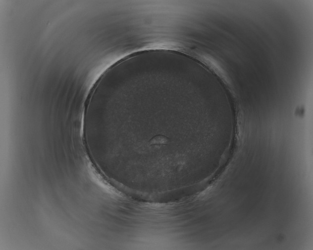 X0000111831276200907301311