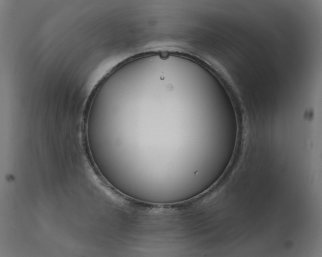 X0000111831277200907301311