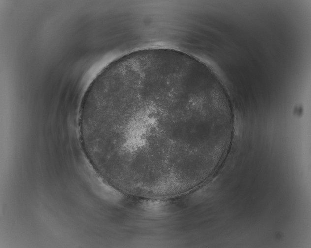 X0000111831278200907301311