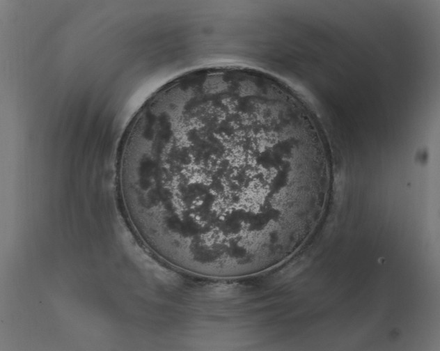 X0000111831279200907301311
