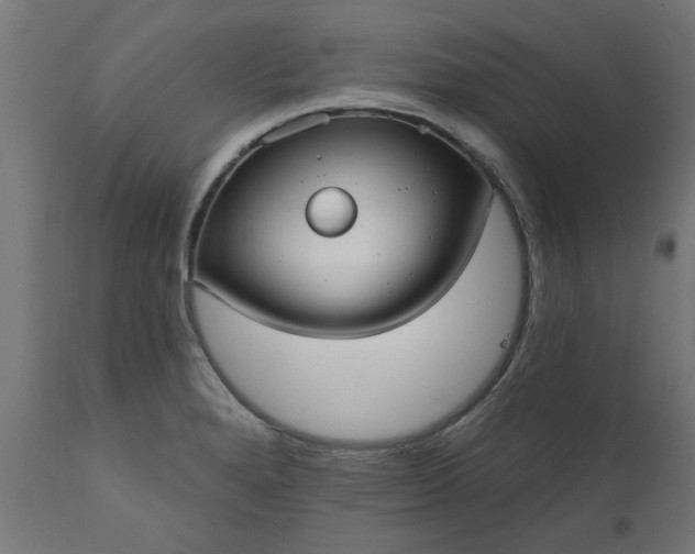 X0000111831280200907301311
