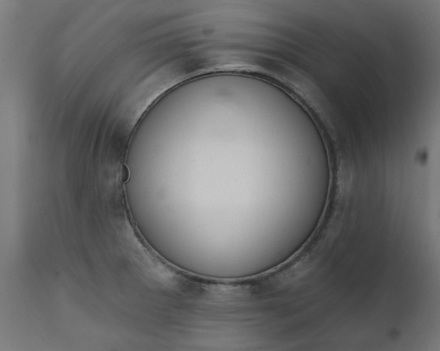 X0000111831281200907301311