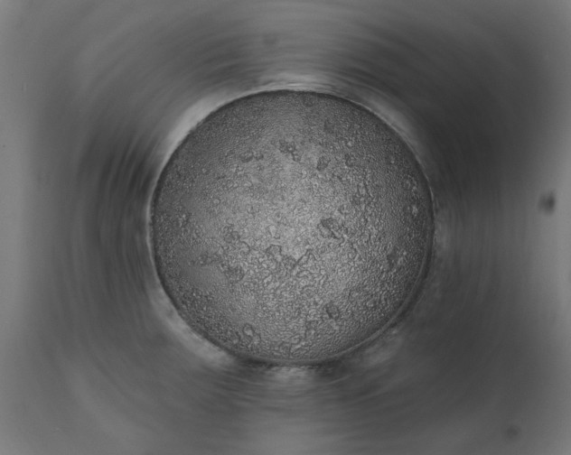 X0000111831283200907301311