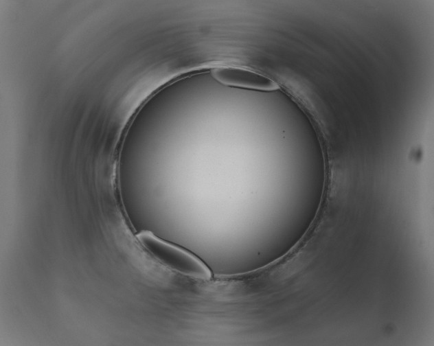 X0000111831284200907301311