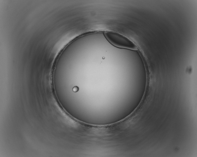 X0000111831285200907301311
