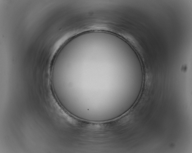 X0000111831286200907301311