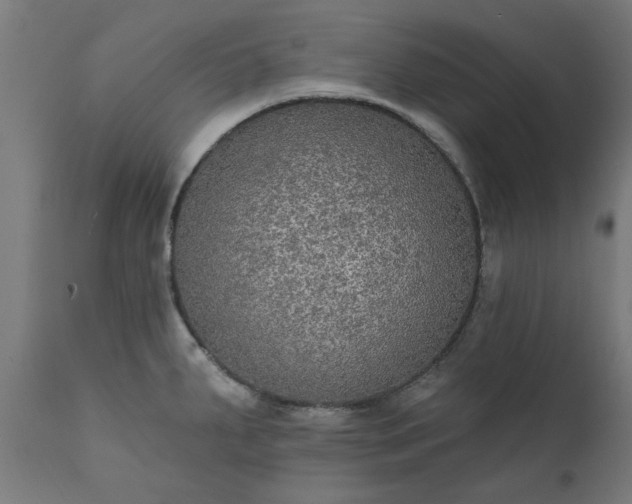 X0000111831287200907301311
