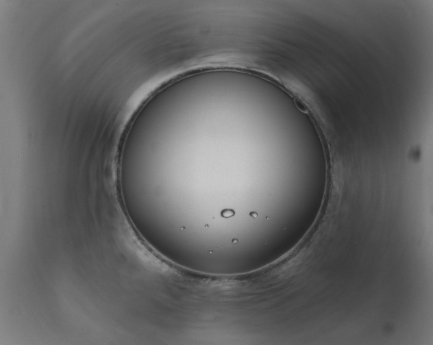 X0000111831288200907301311