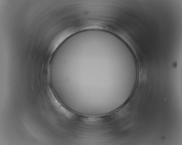 X0000111831290200907301311