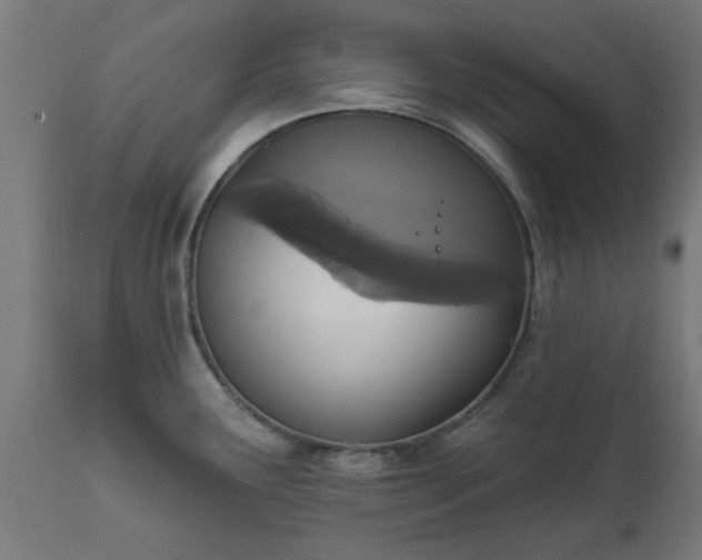 X0000111831291200907301311