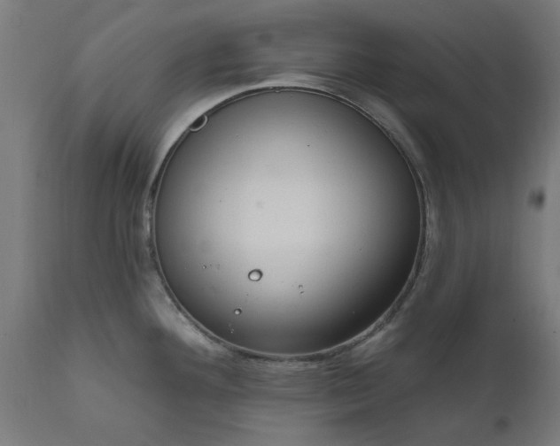 X0000111831292200907301311