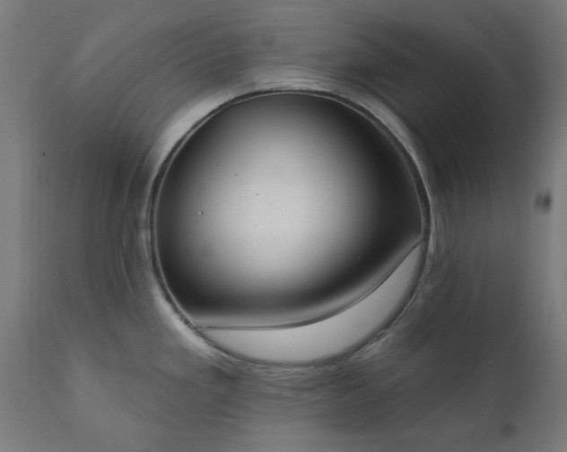 X0000111831293200907301311