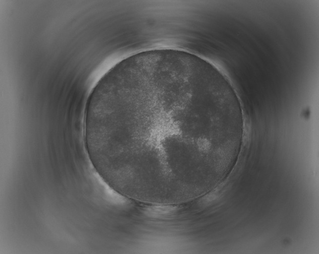 X0000111831294200907301311