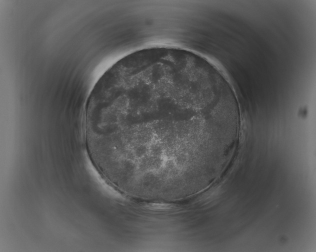 X0000111831295200907301311